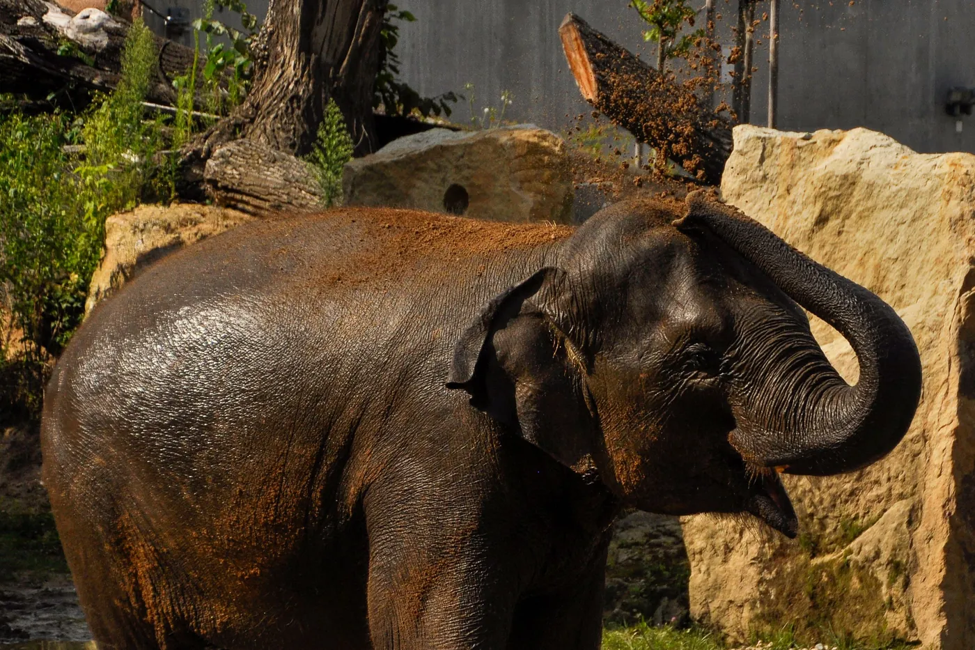 Prague Zoo